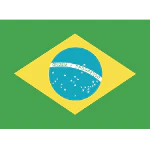 1 ק"ג קפה ירוק ברזיל חצי שטוף - Brazil Semi Washed - Image 2