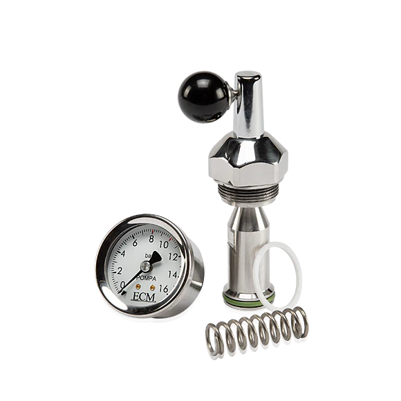 ืืืืกืช ืืืฅ ืืจืืฉ ECM-Flow Profil Valve -E 61