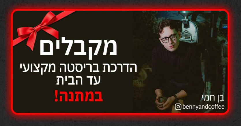 גאגיה קלאסיק Gaggia Classic GT - Image 2